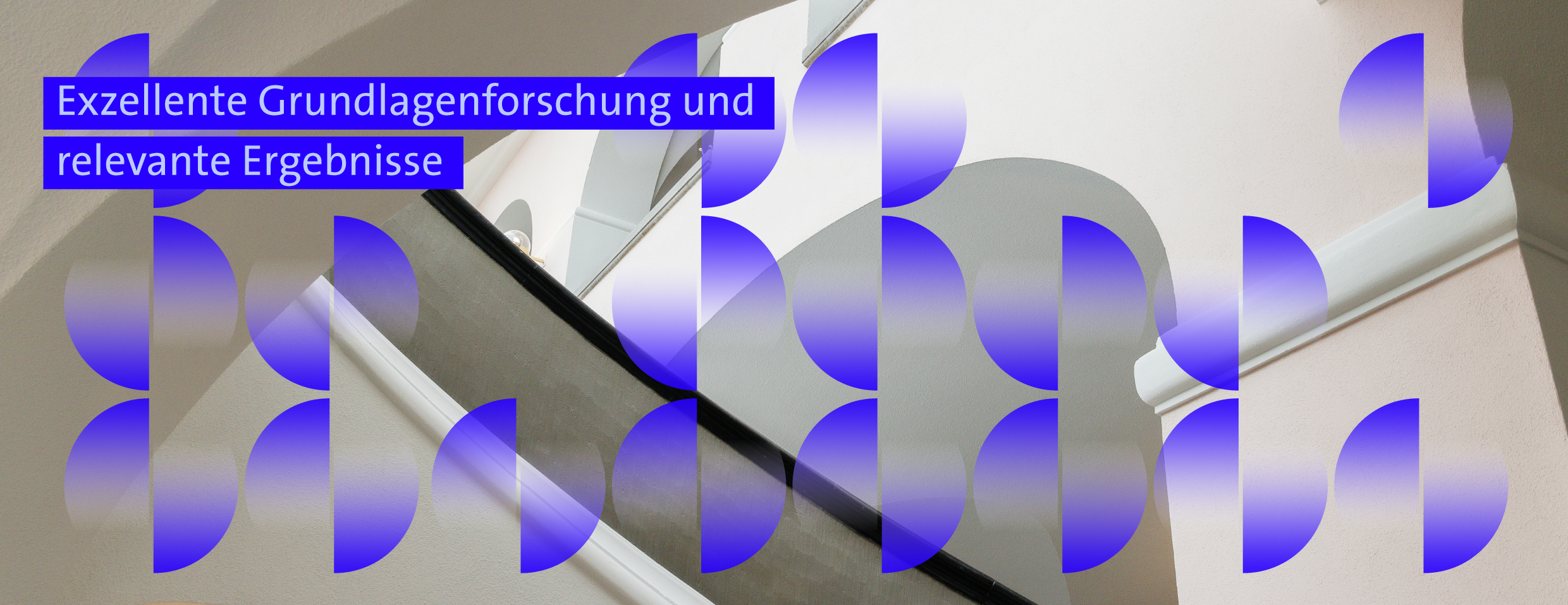 Banking and Finance Forschung